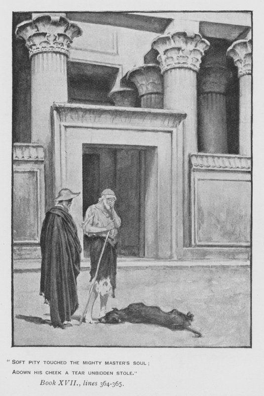 Ilustrace k Pope