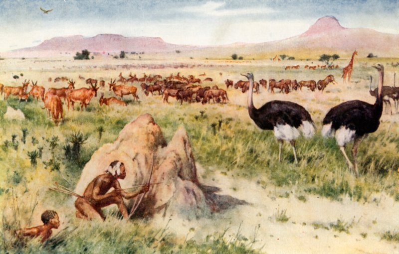 Jihoafrická rovina: Před příchodem bílého muže od Walter Stanley Paget