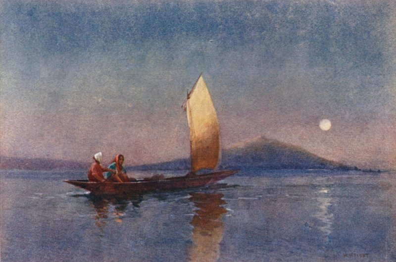 Nový Zéland: (barevná litografie) od Walter Wright