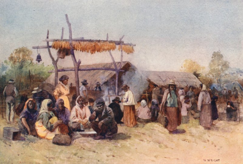 Nový Zéland: Native Gathering (barevná litografie) od Walter Wright
