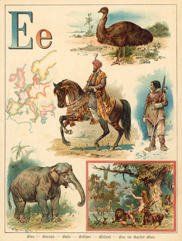 písmeno E (chromolitho) od Walter Zweigle