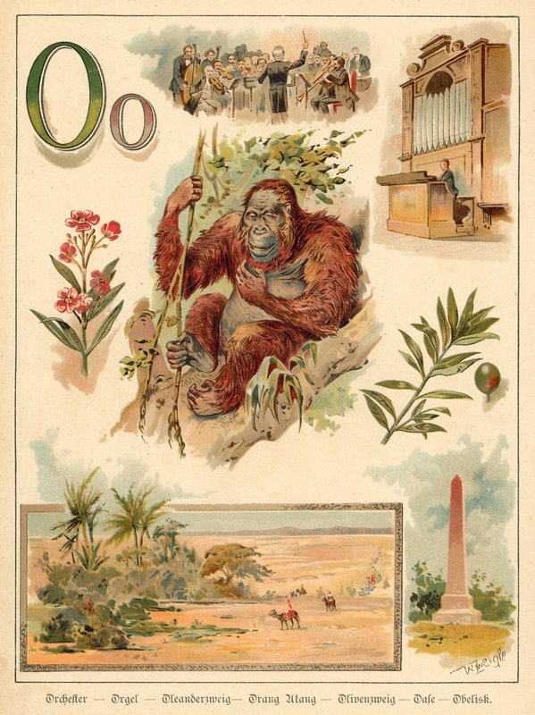 písmeno O (chromolitho) od Walter Zweigle