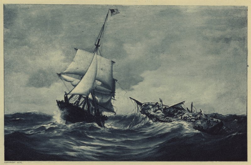 Vosa a dovádění (litho) od Warren Sheppard