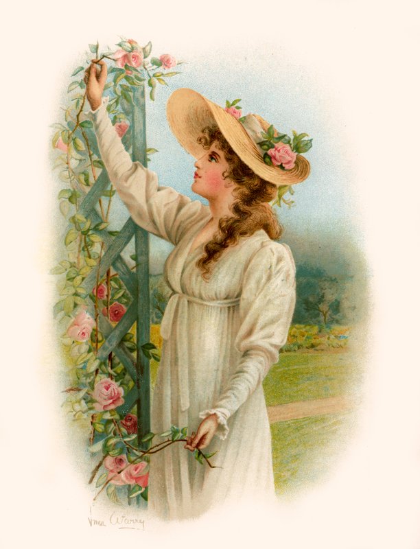 Tennysonova Maud od Warry