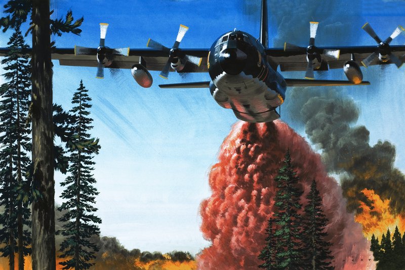 Bombardování lesního požáru od Wilf (20th century) Hardy