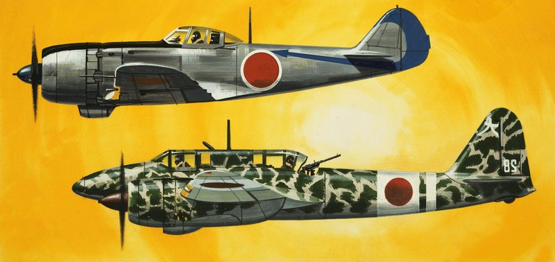 Into the Blue: Japonská letadla druhé světové války od Wilf (20th century) Hardy