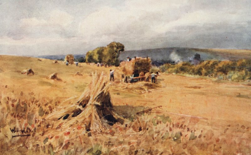 Sklizeň (barevná litografie) od Wilfrid Williams Ball