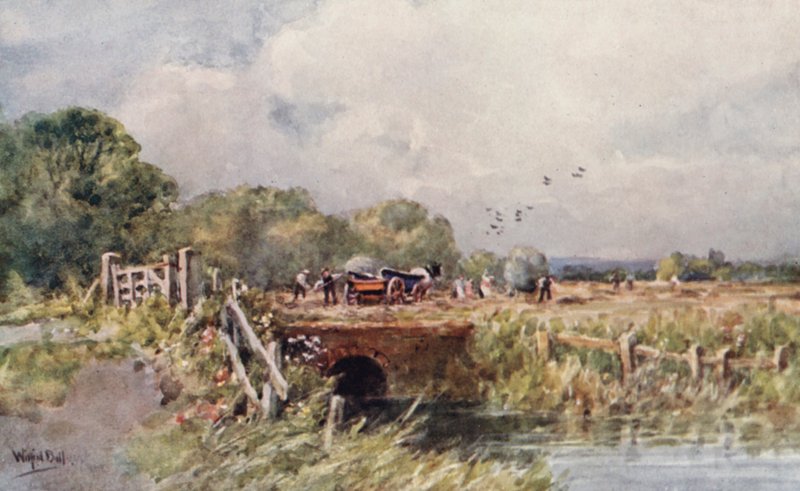 Senoseč (barevná litografie) od Wilfrid Williams Ball