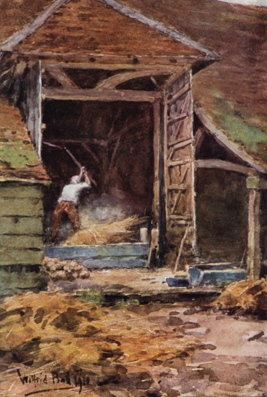 Old Abe, Flailing (barevná litografie) od Wilfrid Williams Ball