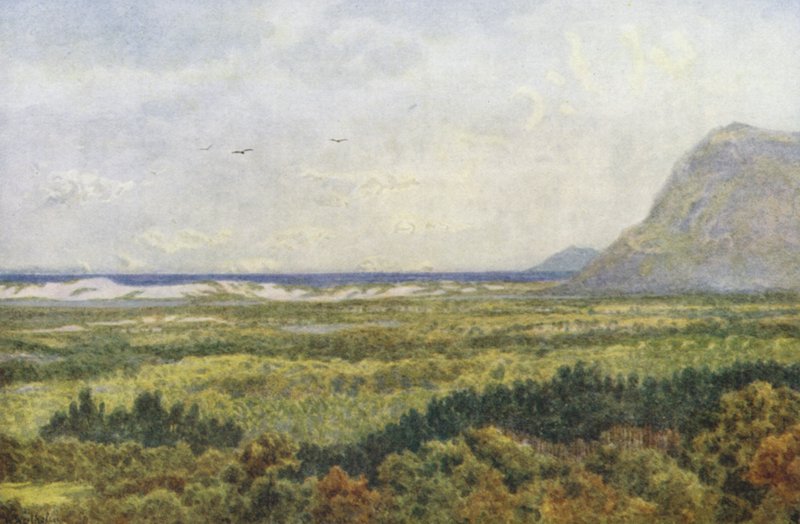 Údolí Constantia a False Bay s Cape Point (barevná litografie) od Wilhelm Westhofen