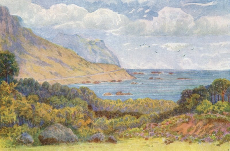 Na Victoria Road, poblíž Oude Kraal (barevná litografie) od Wilhelm Westhofen