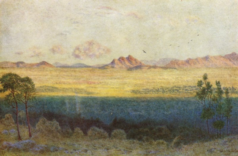Modrý stín, pohled od Rhodesova památníku (barevná litografie) od Wilhelm Westhofen