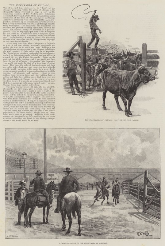 Stockyards v Chicagu od William Barnes Wollen