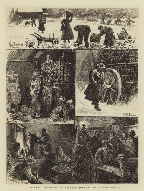 Market Gardening, zimní cesta do Covent Garden od William Bazett Murray