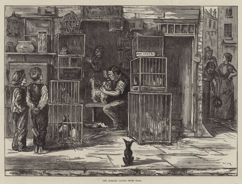 Ranní toaleta, sedm čísel od William Bazett Murray