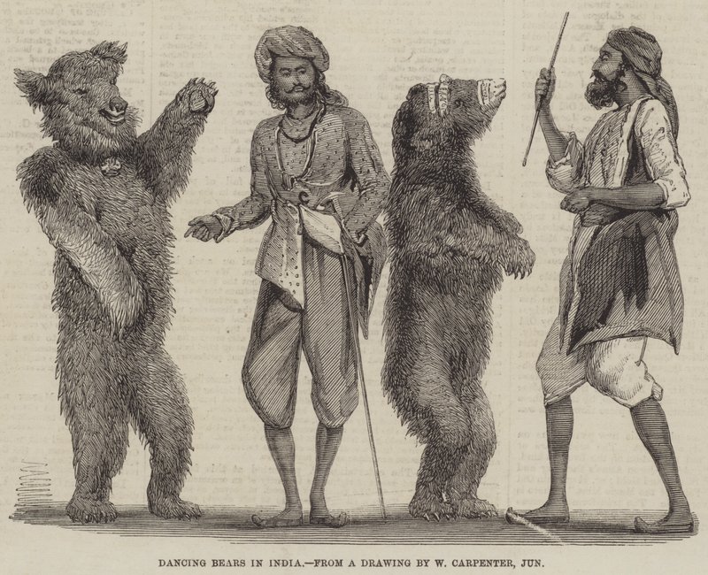 Tančící medvědi v Indii od William Carpenter