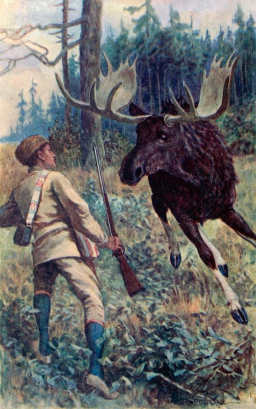 Los se na něj vrhl od William Henry Charles Groome