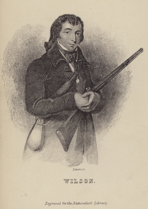 Alexander Wilson , skotský ornitolog od William Home Lizars