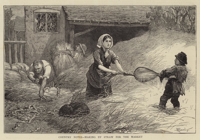 Country Notes, které tvoří Straw for the Market od William III Bromley