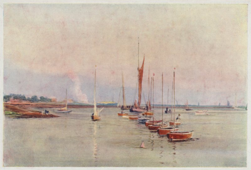 Kittiwakes na svých kotvištích od William Lionel Wyllie