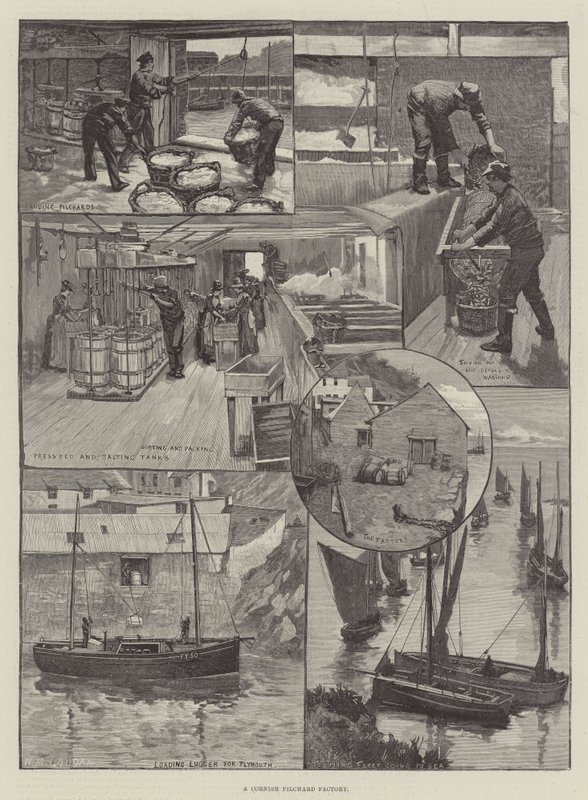 Cornish Pilchard Factory od William Mouat Loudan
