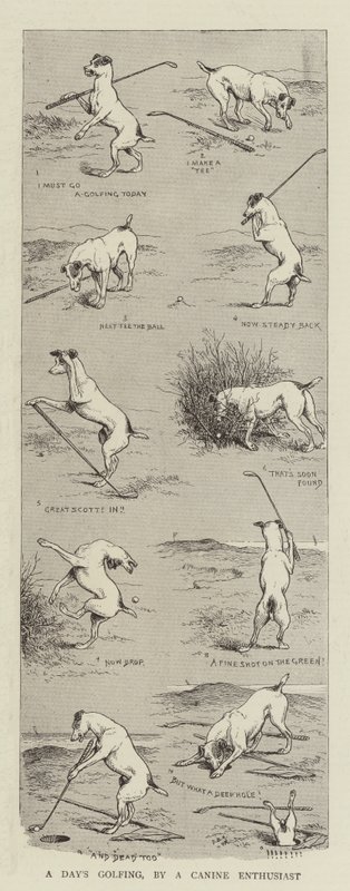 Denní golf od psího nadšence od William Ralston