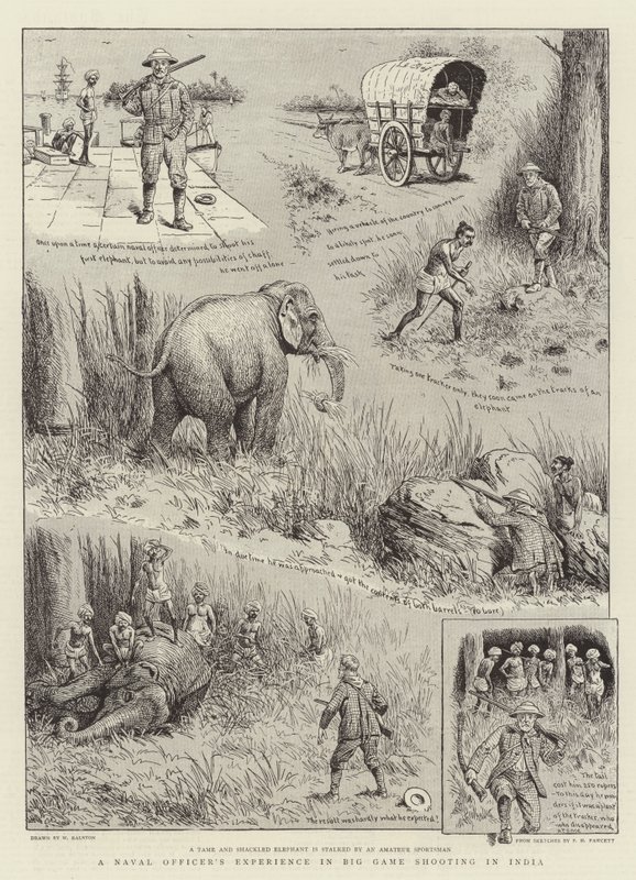 Zkušenosti námořního důstojníka se střelbou ve velkých hrách v Indii od William Ralston