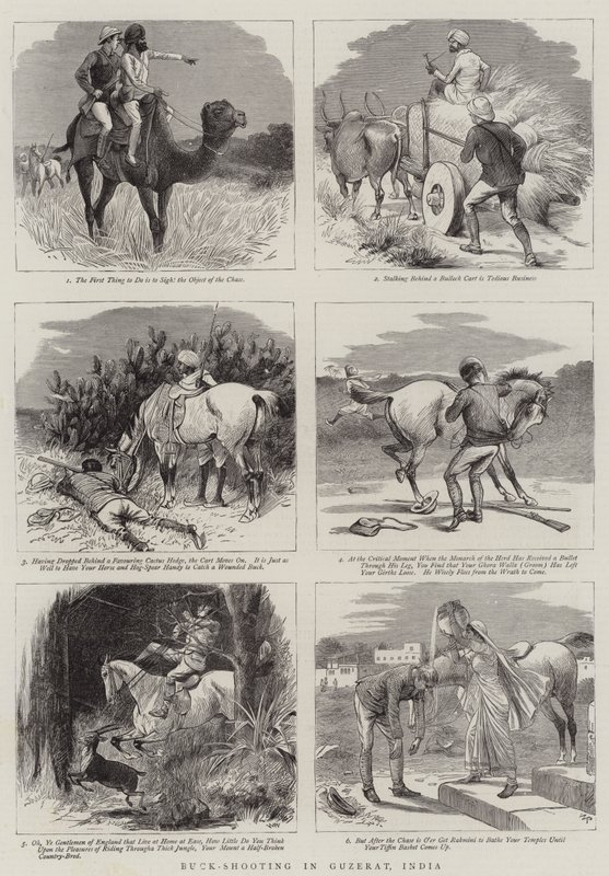 Buck-Shooting v Guzerat, Indie od William Ralston