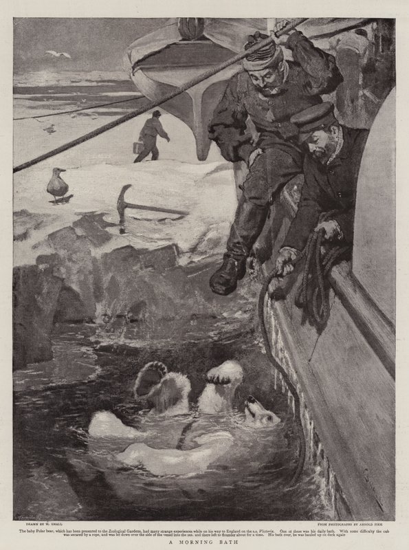 Ranní koupel od William Small