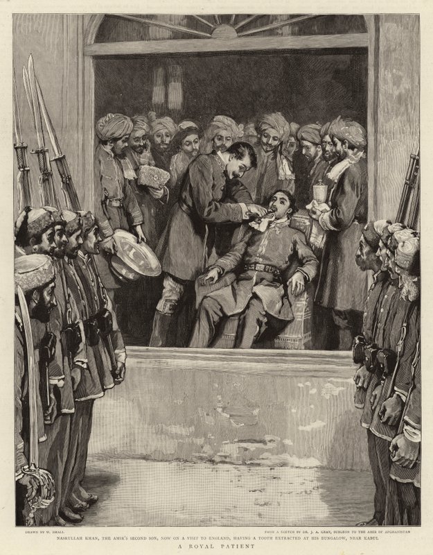 Královský pacient od William Small