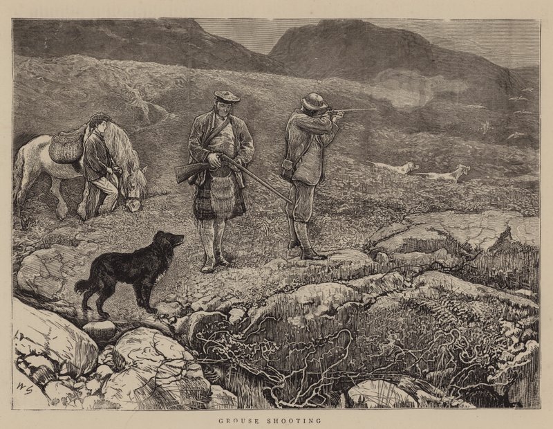 Střelba tetřevů od William Small