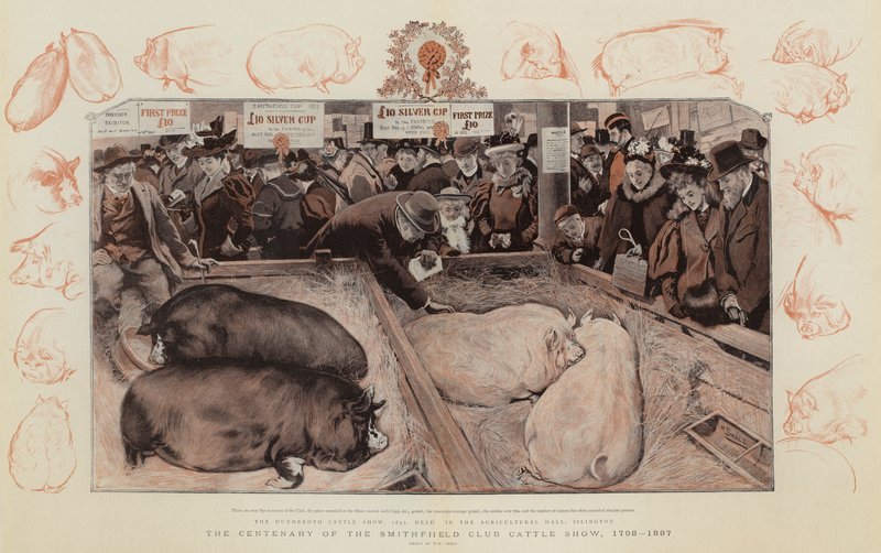 Sté výročí Smithfield Club Cattle Show, 1798-1897 od William Small