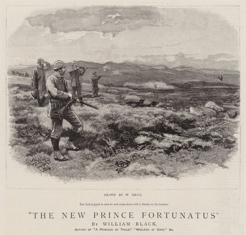 Nový princ Fortunatus od William Small