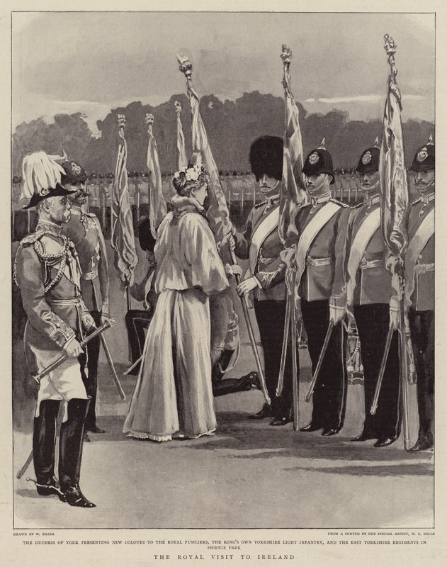 Královská návštěva Irska od William Small
