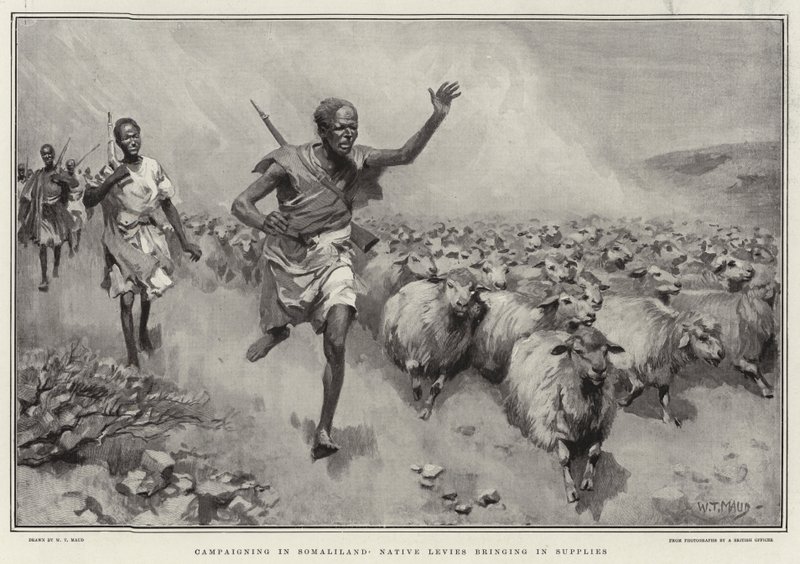 Kampaň v Somaliland Native Levies přináší zásoby od William T. Maud