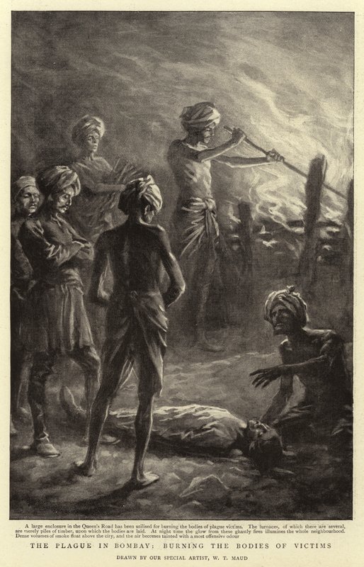 Mor v Bombaji, spalování těl obětí od William T. Maud
