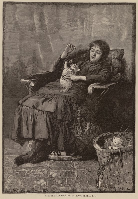 Koťata (rytina) od William (after) Hatherell