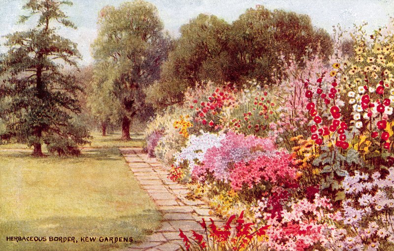Herbaceous Border, Kew Gardens od William Affleck Carruthers
