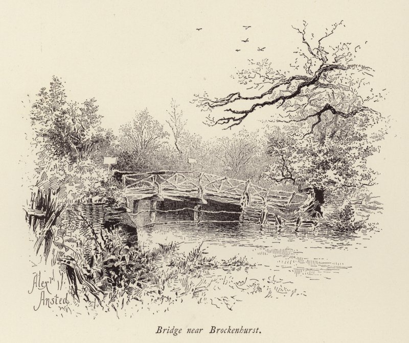 Most u Brockenhurstu (rytina) od William Alexander Ansted