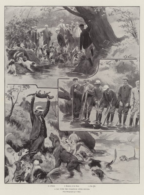 Den s Culmstock Otter Hounds od William Barnes Wollen