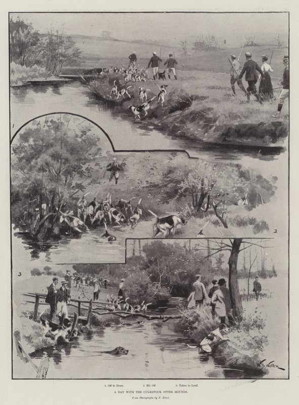 Den s Culmstock Otter Hounds od William Barnes Wollen