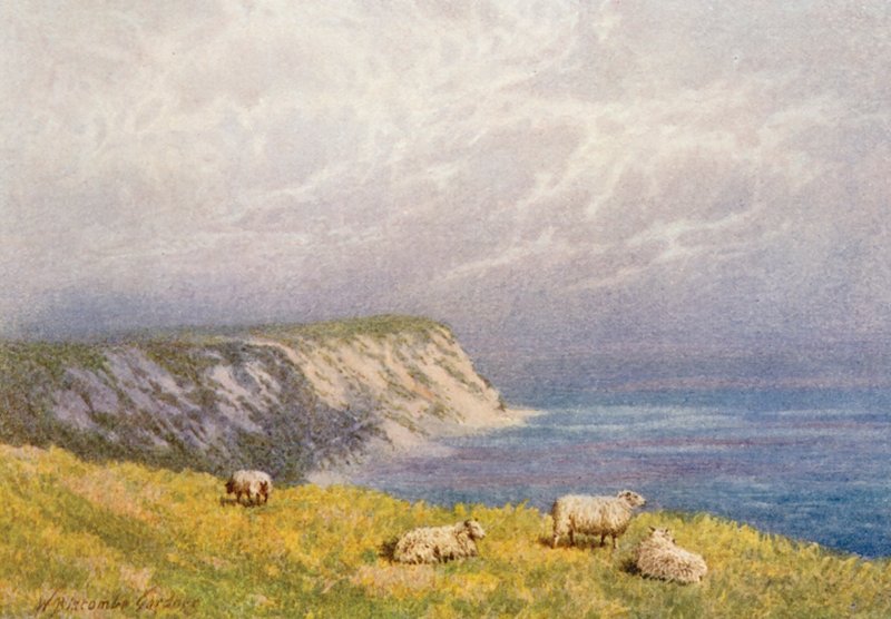 Opatský útes nad Warrenem, Folkestone Hill (barevná litografie) od William Biscombe Gardner