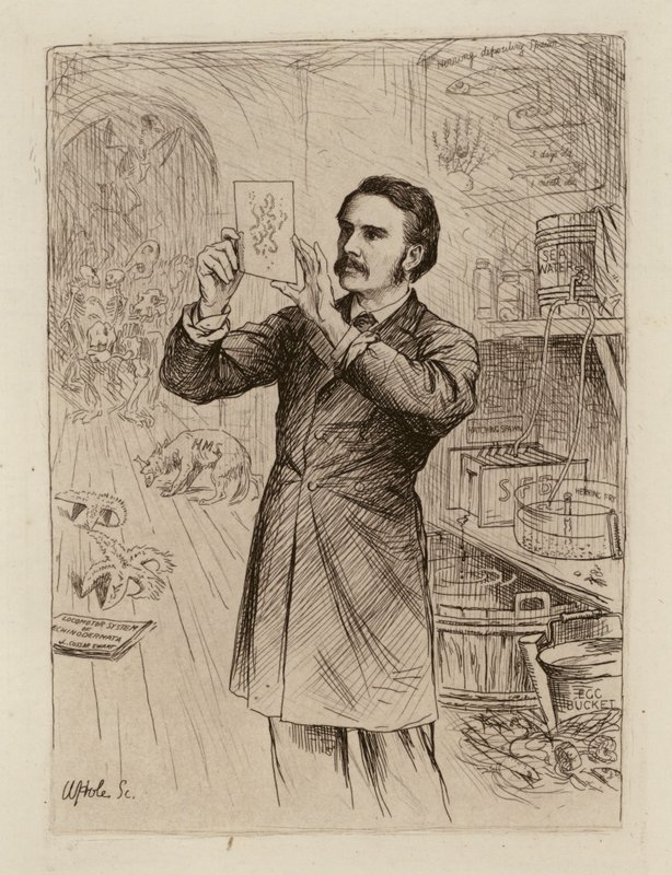 James Cossar Ewart, profesor přírodopisu (rytina) od William Brassey (after) Hole