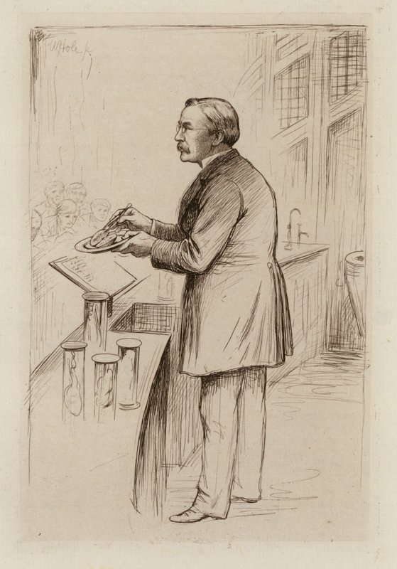William Smith Greenfield, profesor všeobecné patologie (rytina) od William Brassey (after) Hole