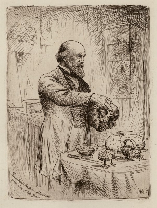 William Turner, profesor anatomie (rytina) od William Brassey (after) Hole