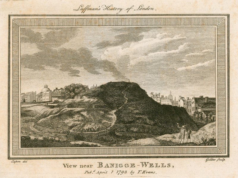Pohled na Bagnigge Wells, poblíž Battle Bridge, Islington, Londýn od William Capon