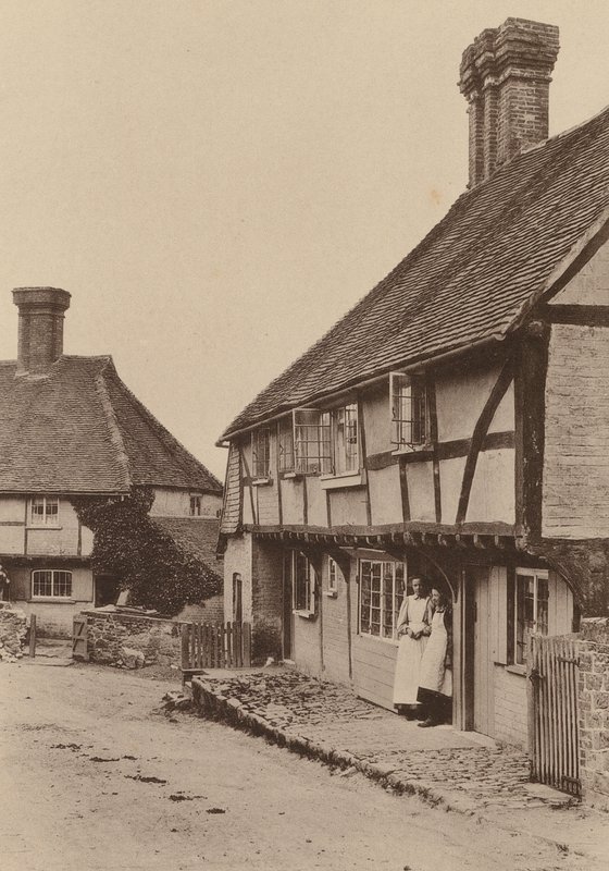 V Byworthu, poblíž Petworthu, Sussex (čb fotografie) od William Galsworthy Davie