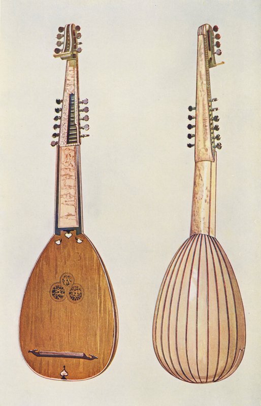 Hudební nástroje: Theorba (barevná litografie) od William Gibb