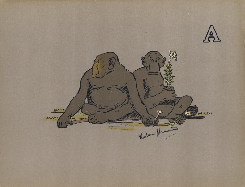 Písmeno A, Estetické antropoidní opice přijímající abnormálně apatické postoje (barevné lito) od William Hammond
