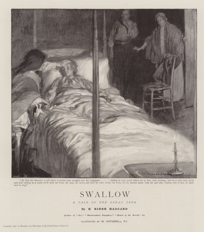 Vlaštovka, Příběh velkého putování od William Hatherell